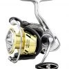 Reels DAIWA PROCYON LT 1 Reels DAIWA PROCYON LT